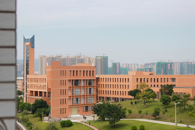 university